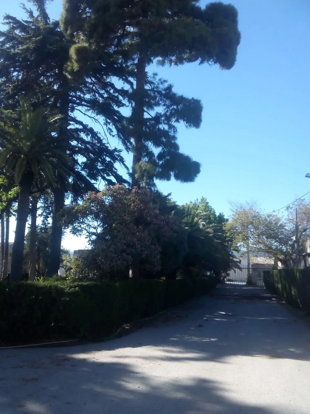 RODMAN BAIX CAMP S.L. - Tarragona pet otel görseli 3