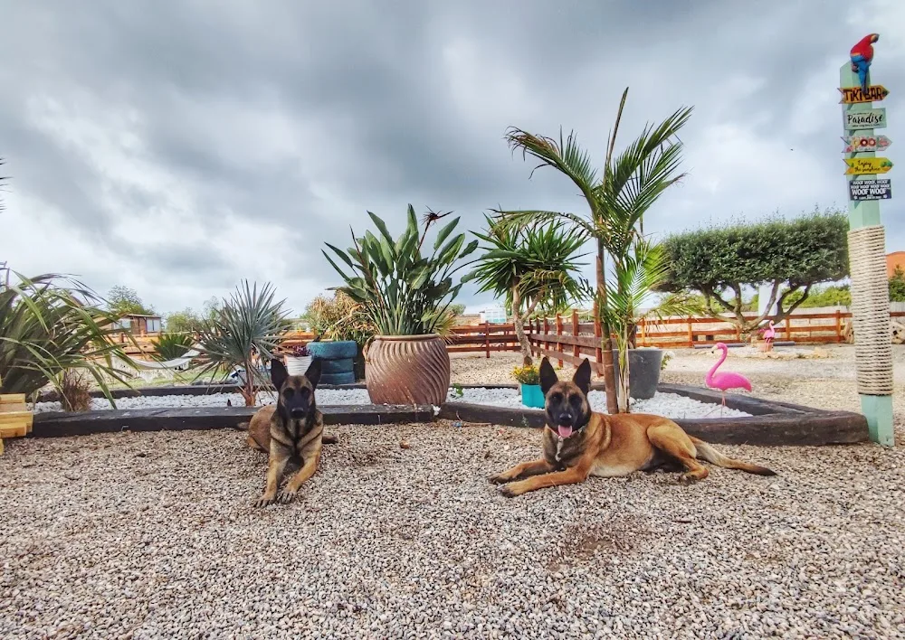 Tiki Ohana - Resort Canino, Mondioring y Adiestramiento - Tarragona pet otel görseli 2