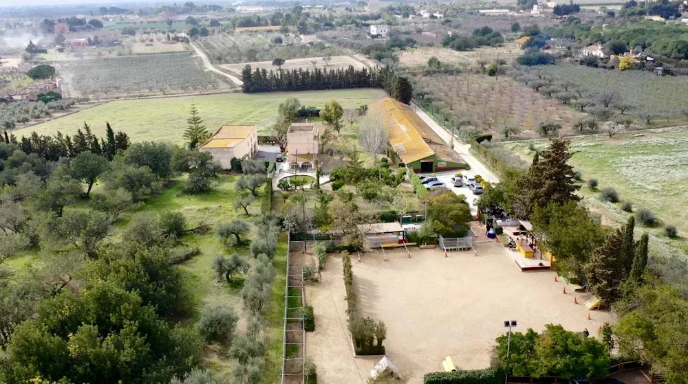 Tres Pirañas Educación y Residencia Canina - Tarragona pet otel görseli 2