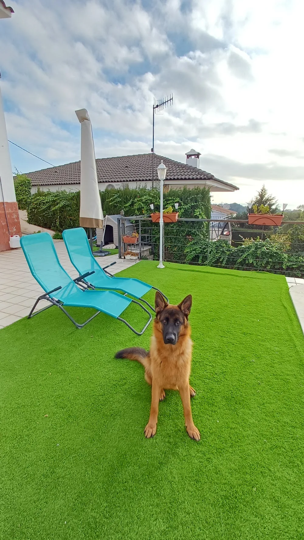Tres Pirañas Educación y Residencia Canina - Tarragona pet otel görseli 3