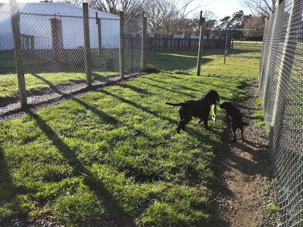 Homewood Boarding Kennel & Cattery - Tasman pet otel görseli 3