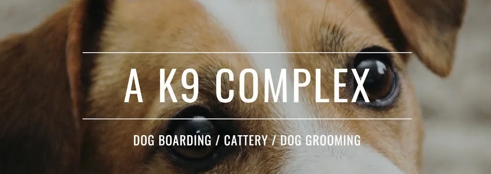 A K9 COMPLEX - Tasmania pet otel görseli 2