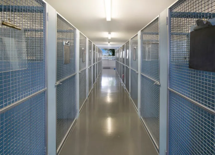 Cats Away Cattery - Tasmania pet otel görseli 3