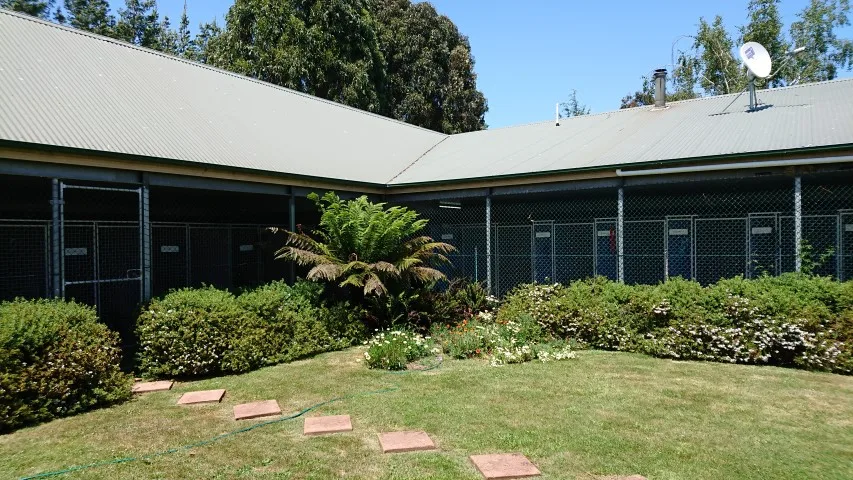 Longford Park Boarding Kennels and Cattery - Tasmania pet otel görseli 3