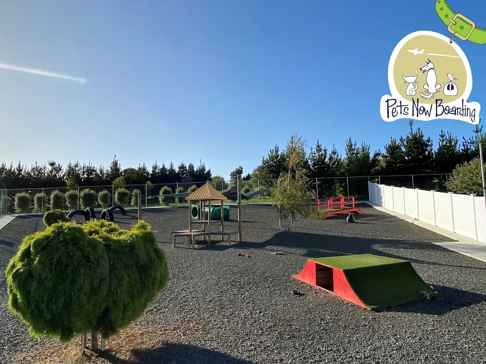 Pets Now Boarding - Tasmania pet otel görseli 2