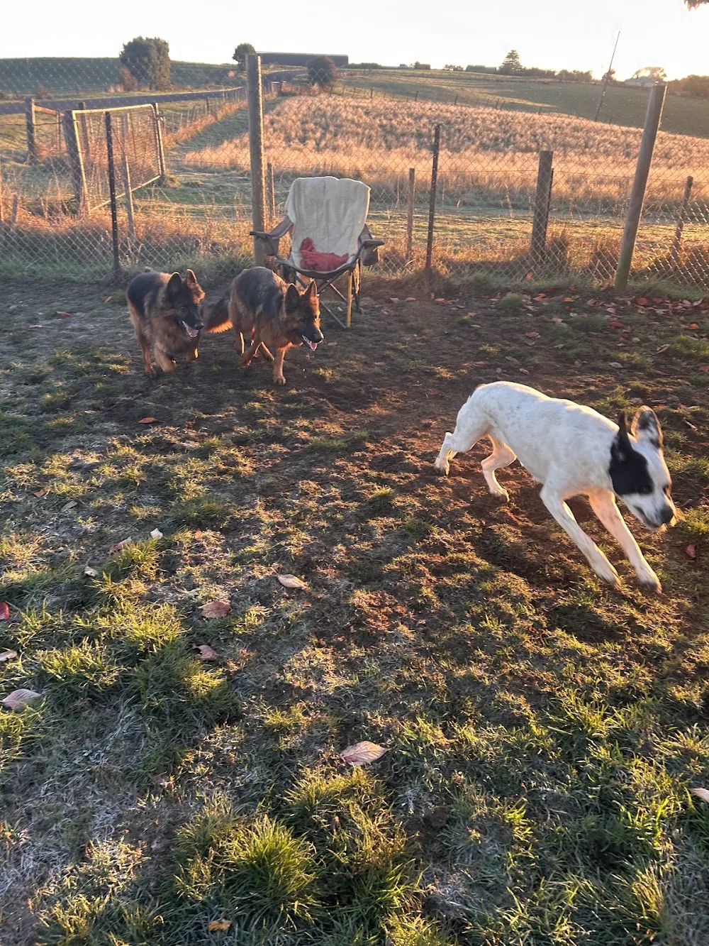 PUPS in the Paddock - Tasmania pet otel görseli 3