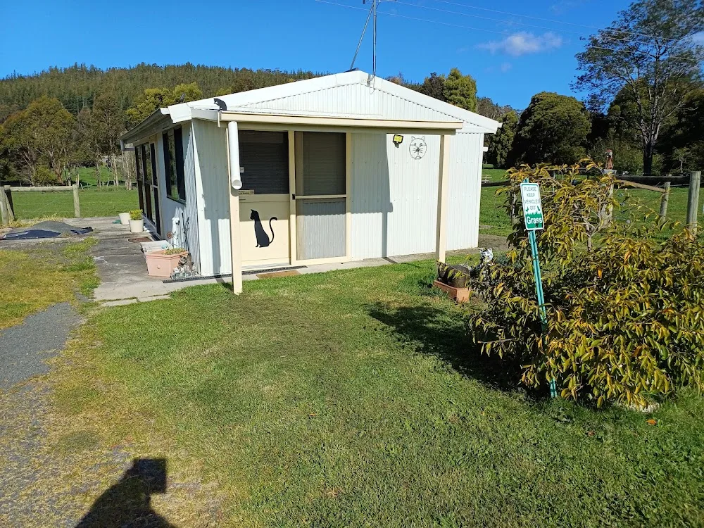 The Boarding Cattery - Tasmania pet otel