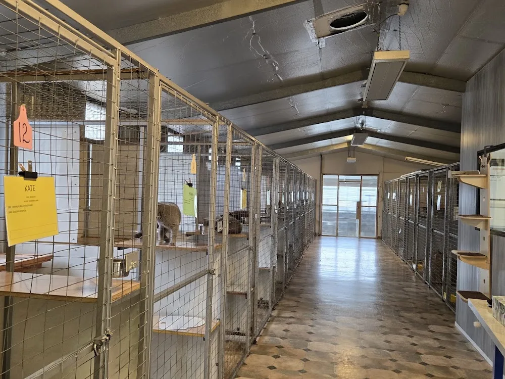 View Bank Cattery and Kennels - Tasmania pet otel görseli 2