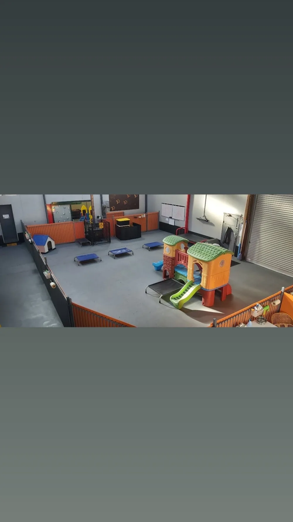 Yours In Paws Dog Day Care & Training - Tasmania pet otel