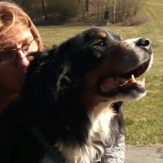 Labanc-völgyi Kennel - Tatabánya pet otel görseli 9