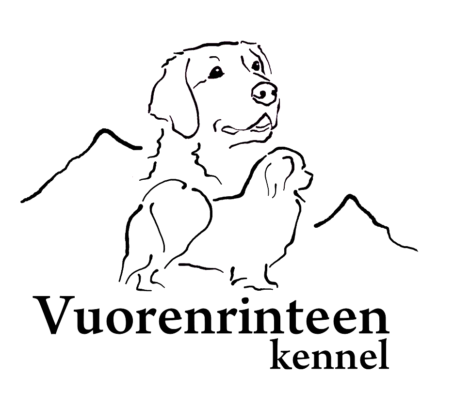 Vuorenrinteen kennel - Tavastia Proper pet otel görseli 3