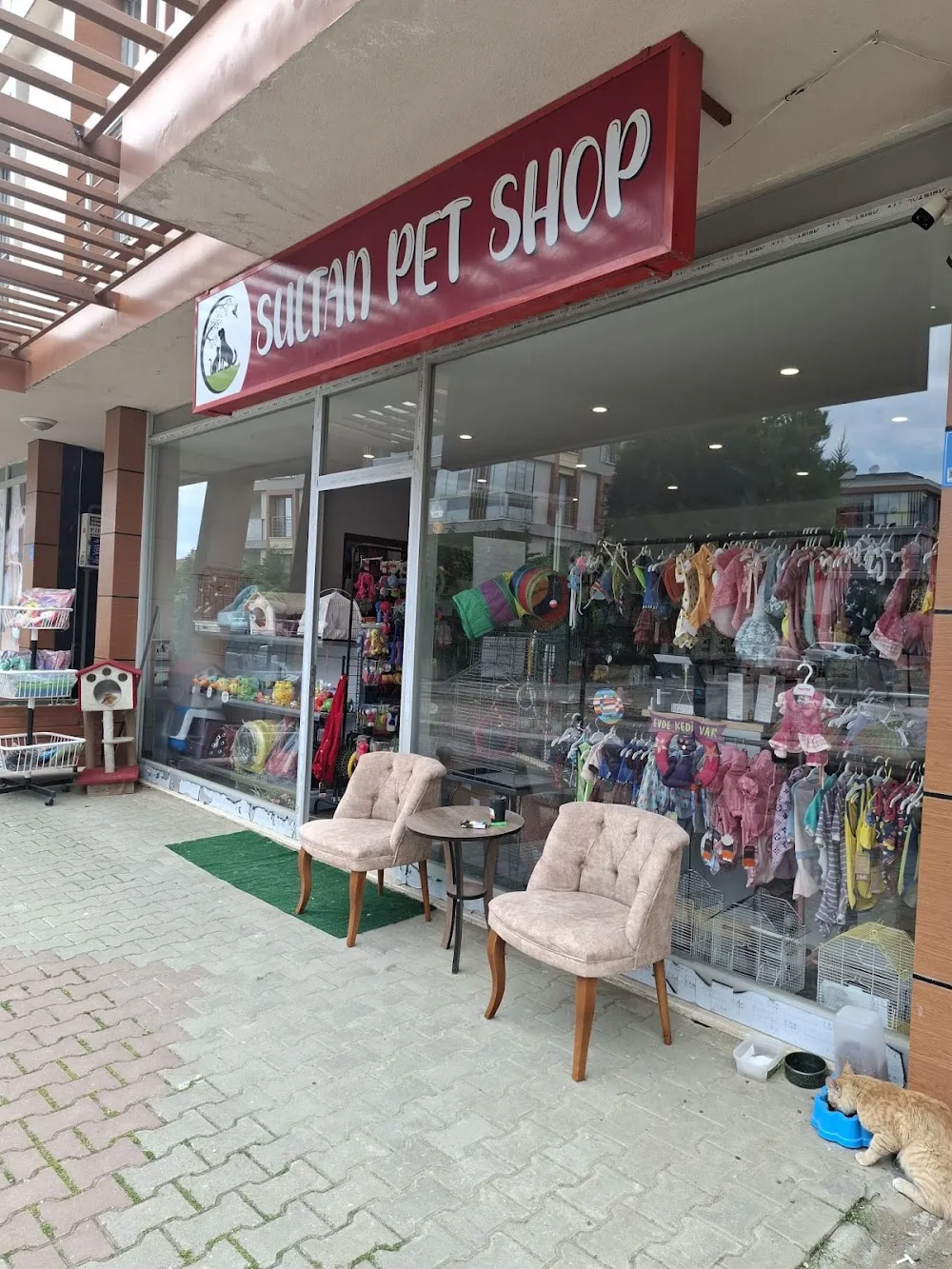 Tekirdağ Kedi Köpek Oteli & Köpek Eğitimi - Sultan Pet Shop - Tekirdağ pet otel görseli 2