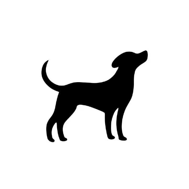 Galtstrømmens Kennel - Telemark pet otel görseli 3