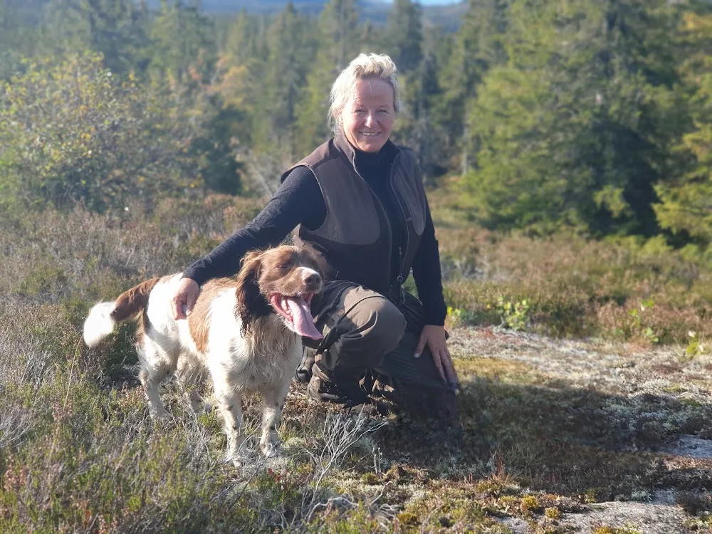 Porsmark spaniels - Telemark pet otel görseli 3