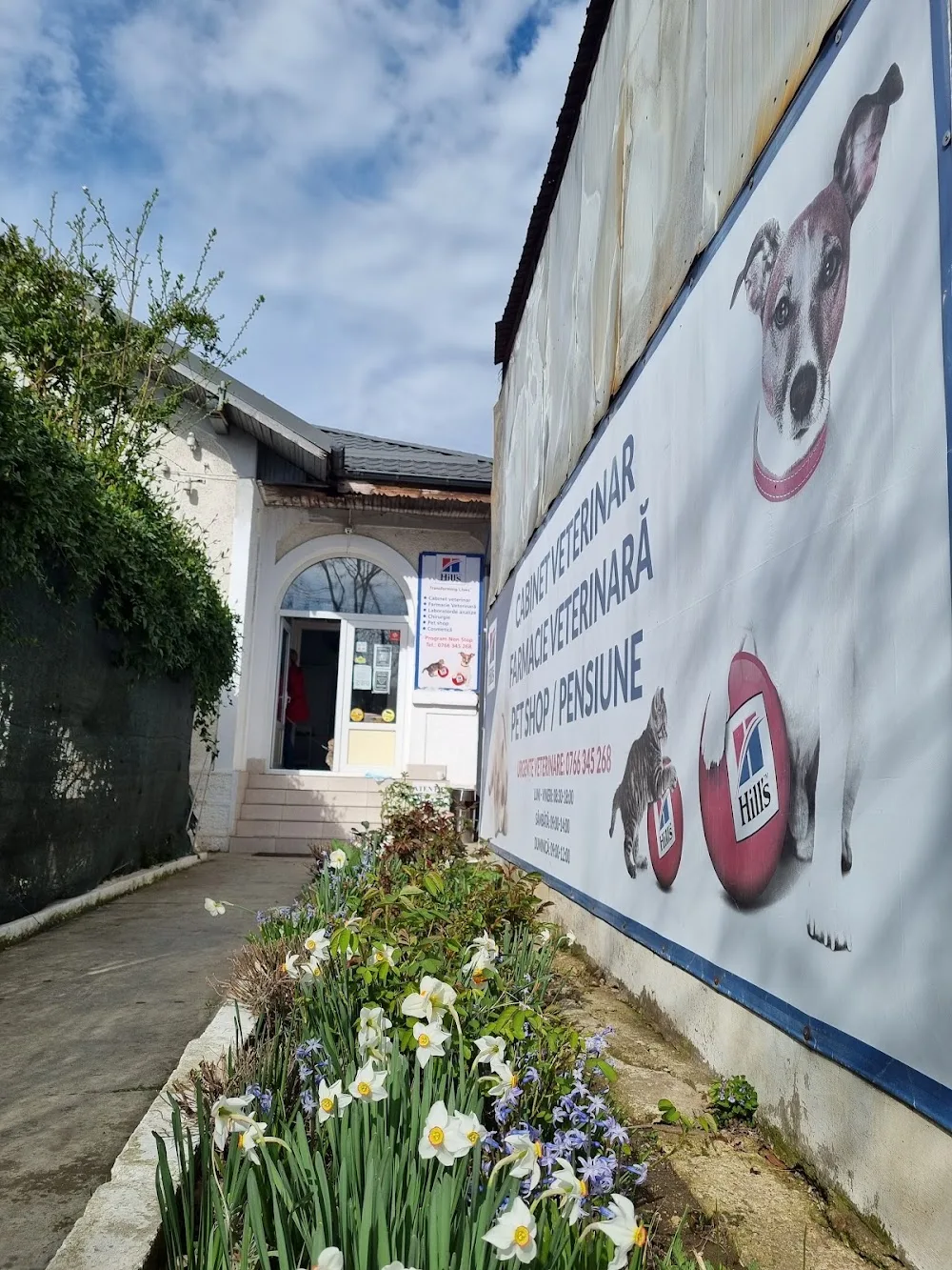 Dispensar Veterinar. Hotel animale - Teleorman pet otel