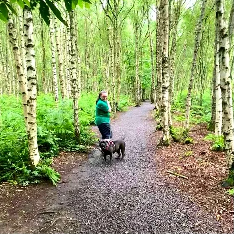 Chetwynd Firs Boarding Kennels & Cattery - Telford and Wrekin pet otel görseli 3