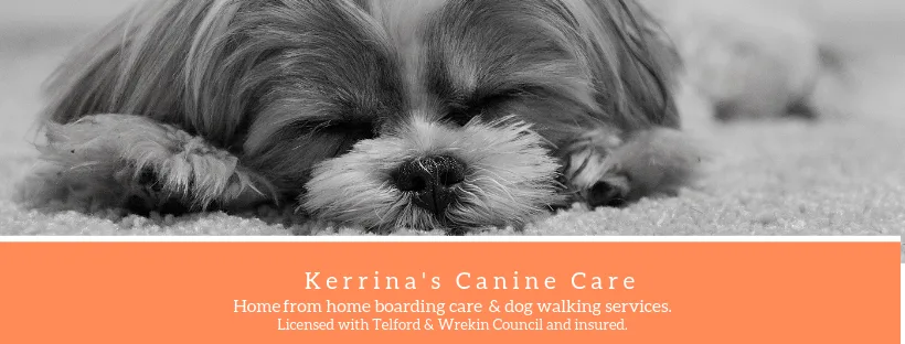 Kerrina's Canine Care - Telford and Wrekin pet otel