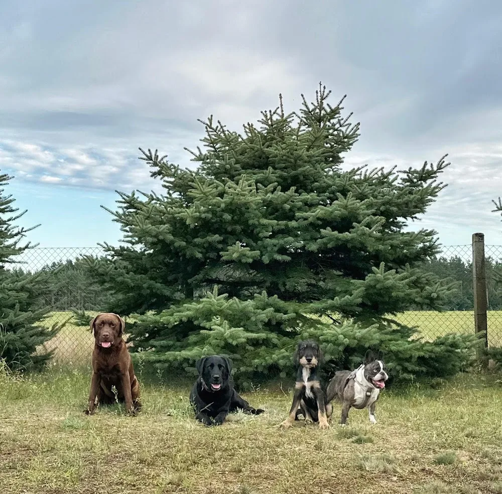 Dorfköter Hundebetreuung - Templin pet otel