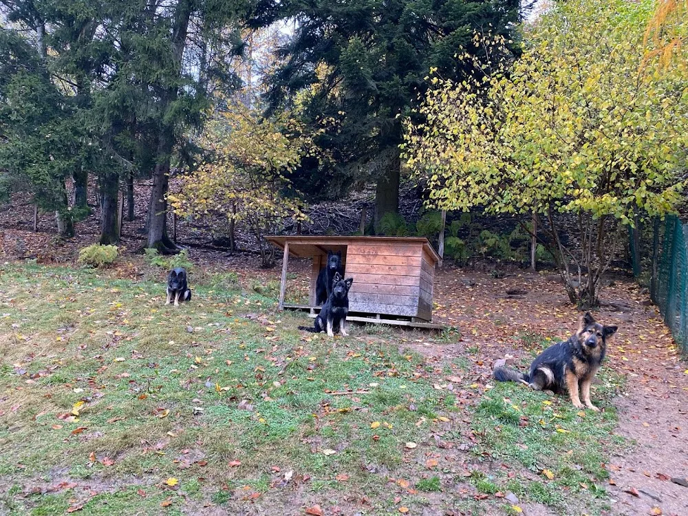 Pension Canine de la Fleur de Vie - Territoire de Belfort pet otel görseli 3