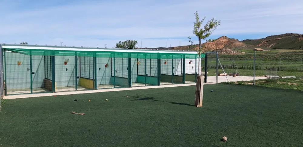 Jaranela. Hotel para mascotas. - Teruel pet otel