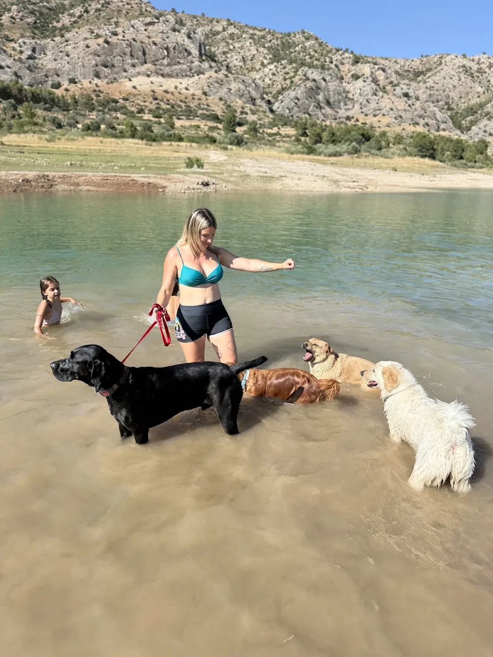 Nogalcan - Teruel pet otel