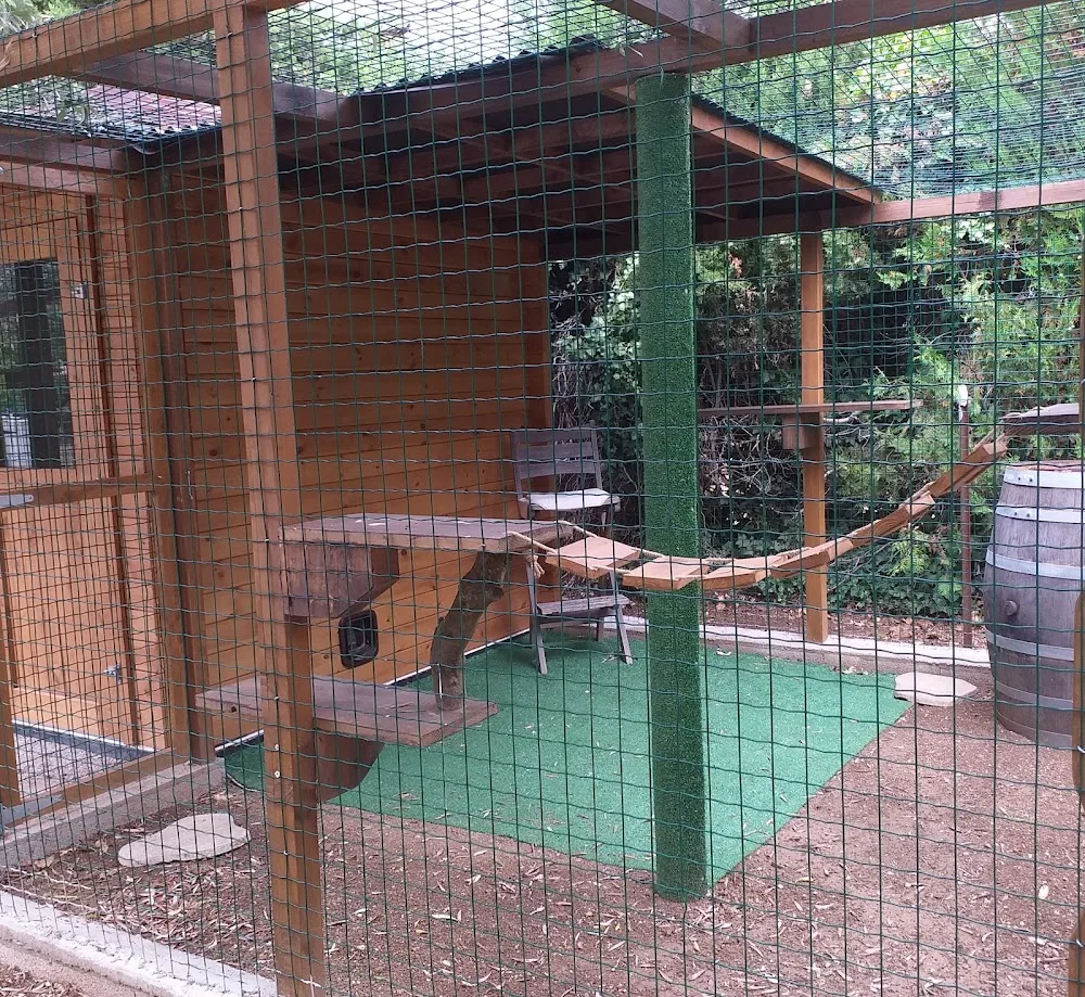 Chat'tree - Teyran pet otel görseli 3