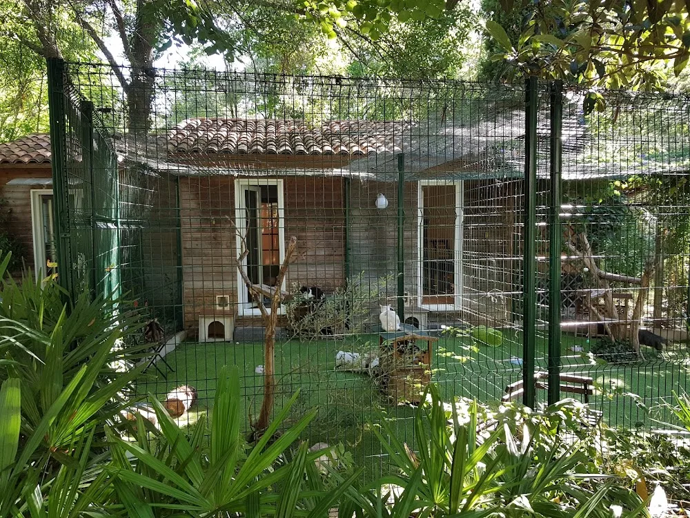 LE MOULIN DES CHATS - Teyran pet otel