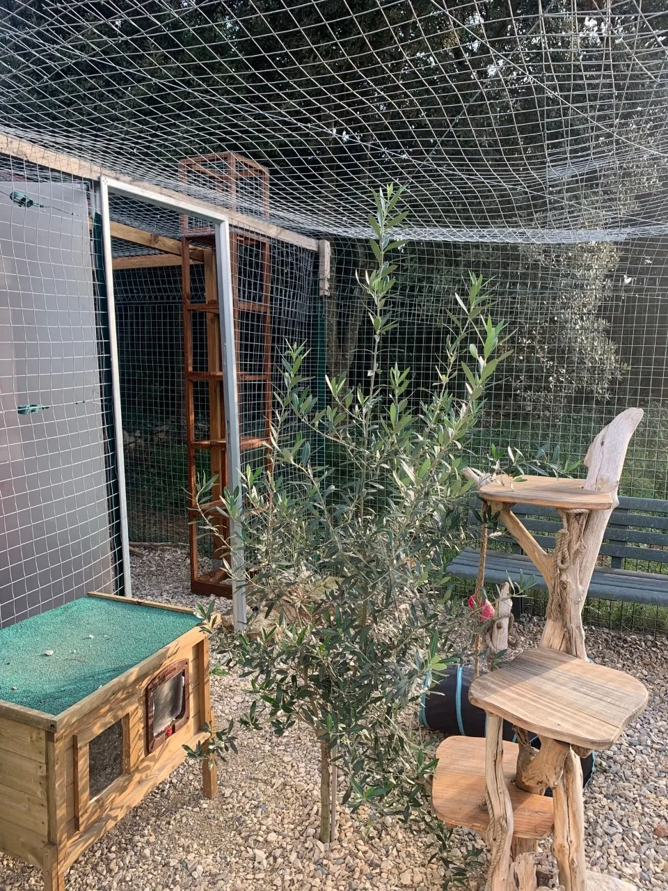 Lolicat Pension pour Chats - Teyran pet otel