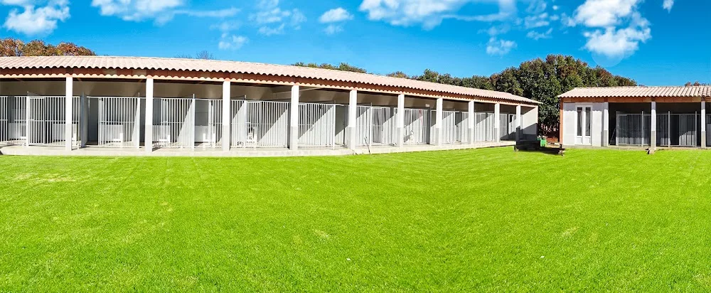 Pension canine et féline De Mudaison - Teyran pet otel görseli 3