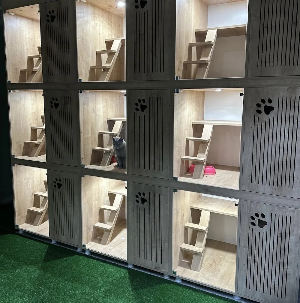 The Pet's Hotel - Diyarbakır Pet Otel - Diyarbakır pet otel görseli 3