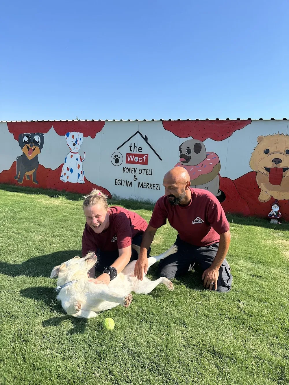 The Woof Dog Resort Köpek Oteli & Eğitim Merkezi - Izmir pet otel görseli 3
