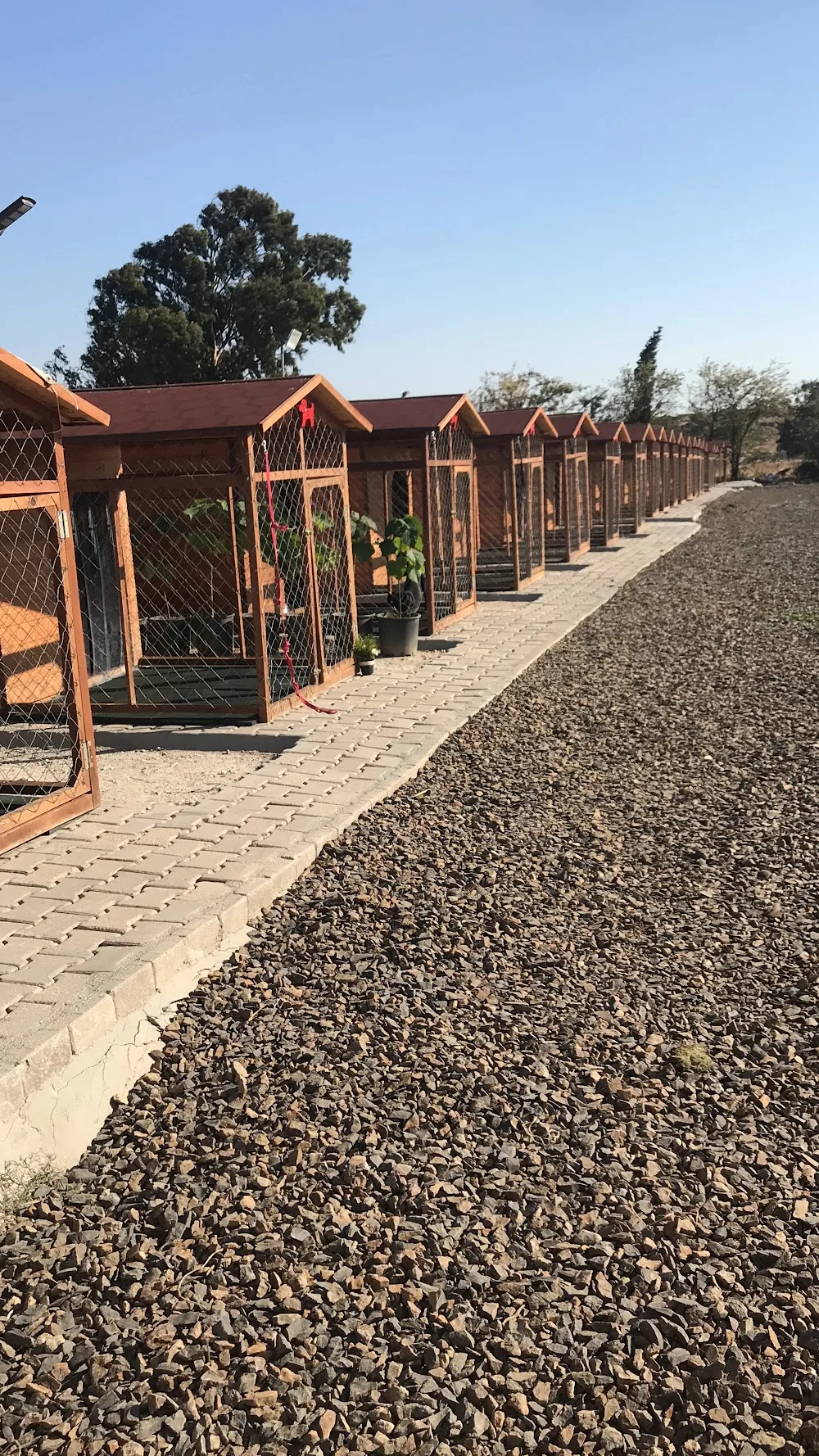 The Woof Dog Resort Köpek Oteli & Eğitim Merkezi - Izmir pet otel görseli 6