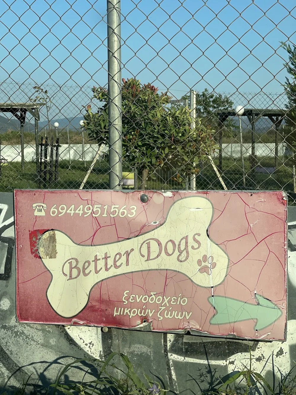 Betterdogs Pet Hotel - Thessaloniki pet otel görseli 3