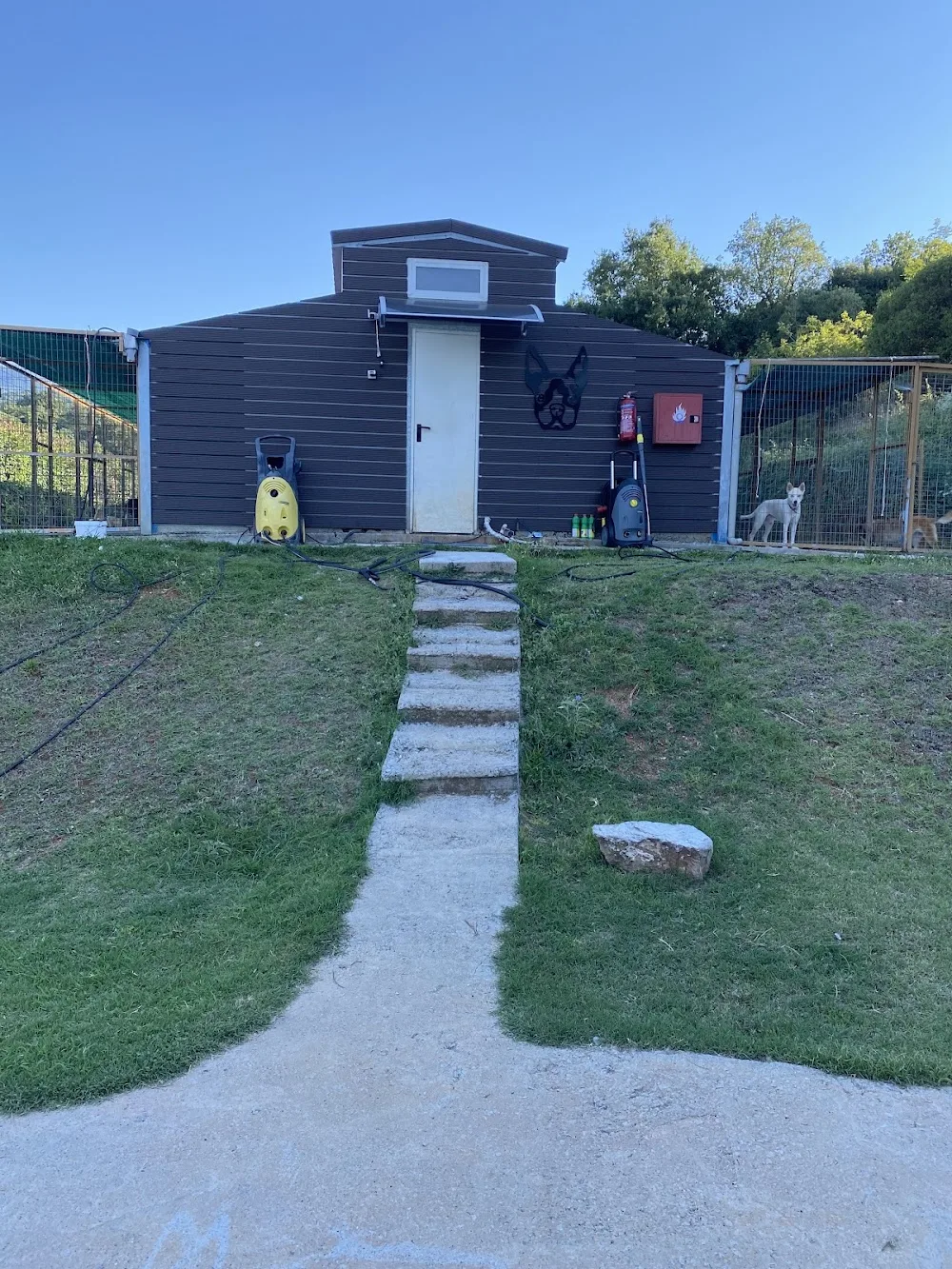 Pet Hotel - Xenias House - Thessaloniki pet otel görseli 7