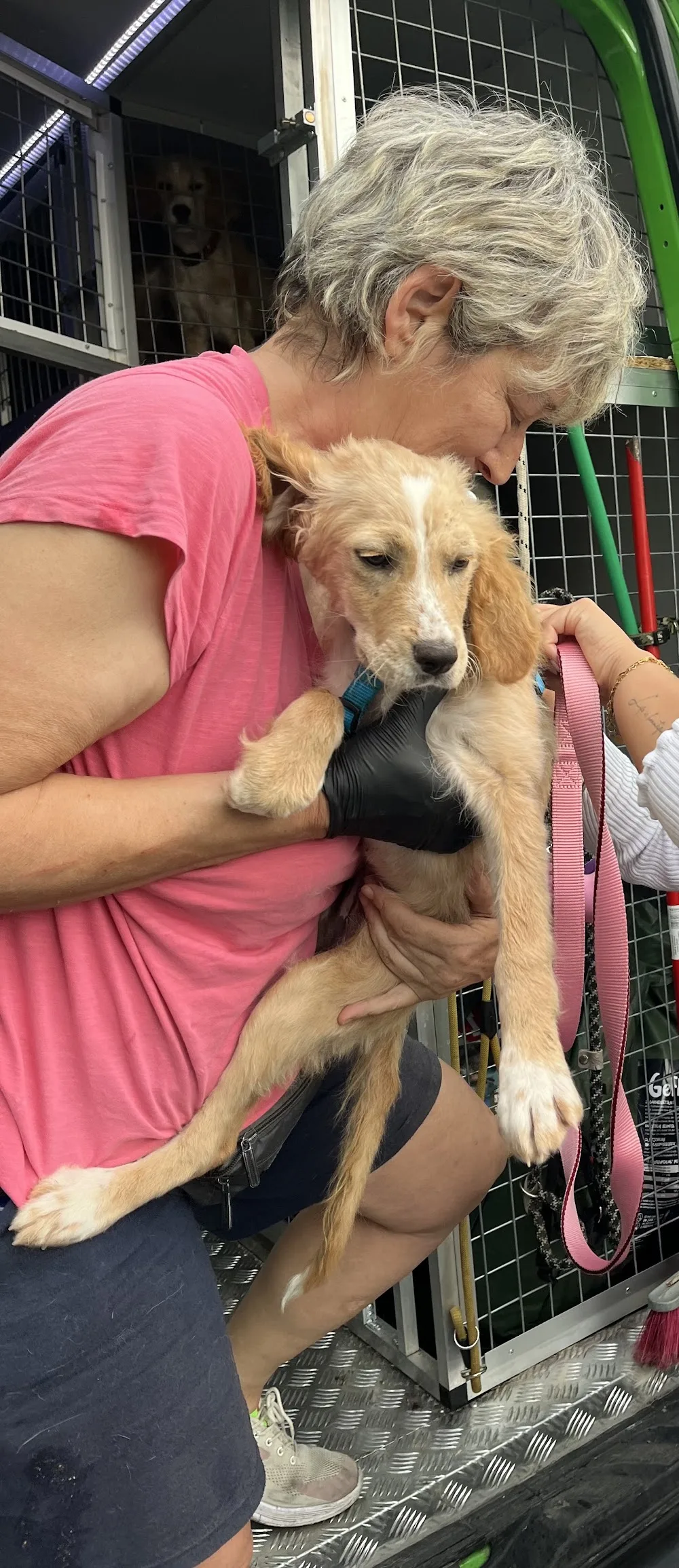 Lilia Paws Travel - Thessaly pet otel