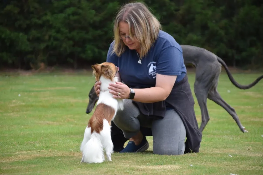Brightlingsea Boarding Kennels & Cattery - Thorrington pet otel görseli 3