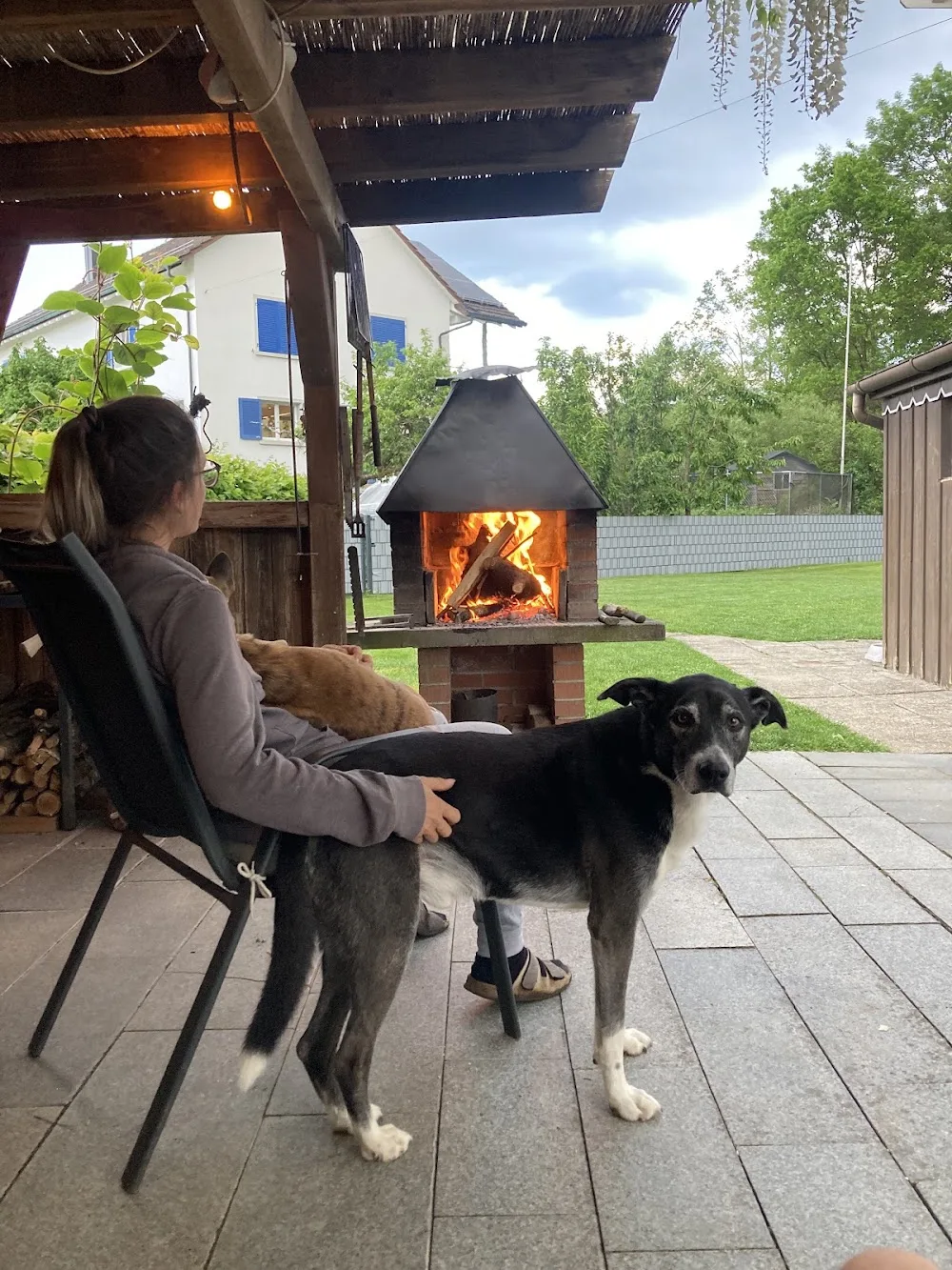 Hundetagesstätte Künzler - Thurgau pet otel