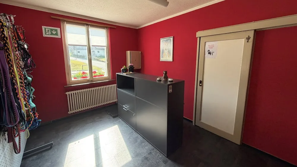 Pfotenvilla, CH-8556 Wigoltingen - Thurgau pet otel görseli 3