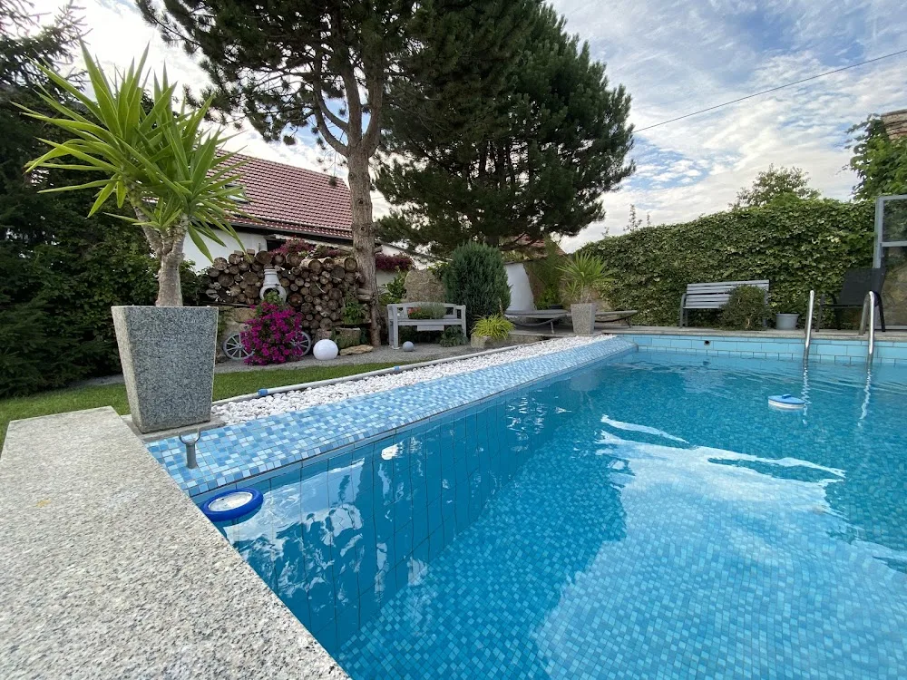 Pension Kux - Thuringia pet otel görseli 7