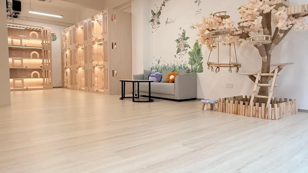 喵喵咪貓酒店 • Meow Meow Mi Cat Hotel - Tibet pet otel