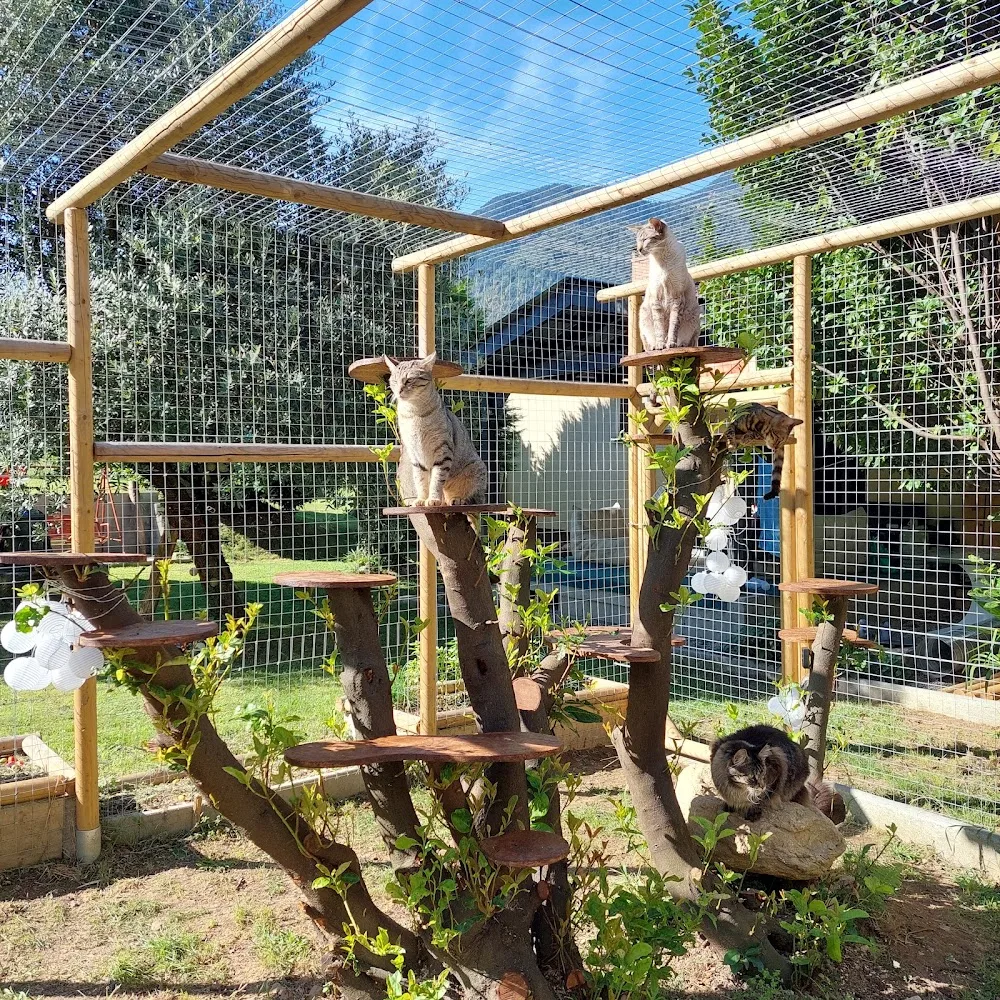 Ca' dal Gatt - Ticino pet otel görseli 3