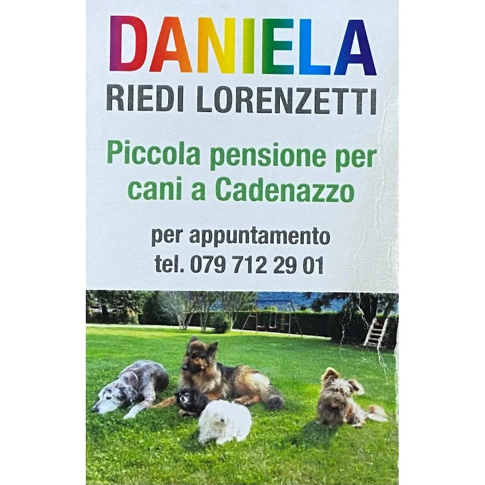 Daniela Riedi Lorenzetti - Piccola pensione per cani - Ticino pet otel görseli 3