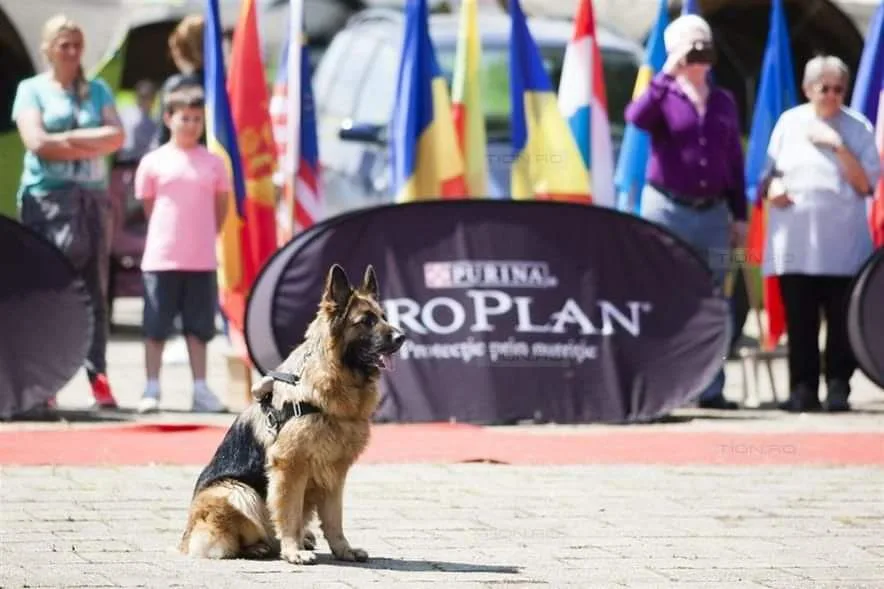 FlantoKris Kennel - Timiș pet otel görseli 3