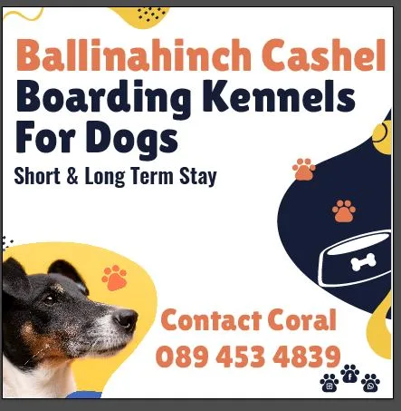 Ballinahinch cashel boarding kennels - Tipperary pet otel