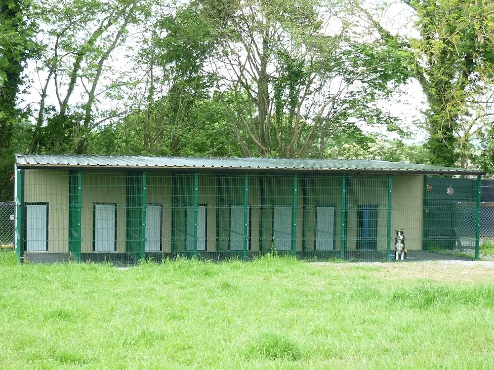 Cappamurragh Luxury boarding kennels - Tipperary pet otel