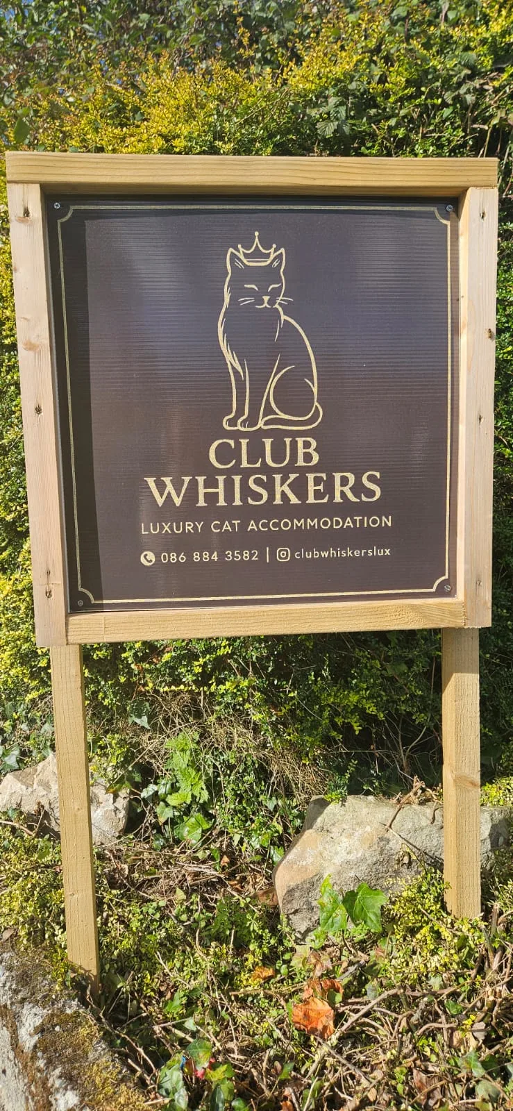 Club Whiskers - Tipperary pet otel görseli 3