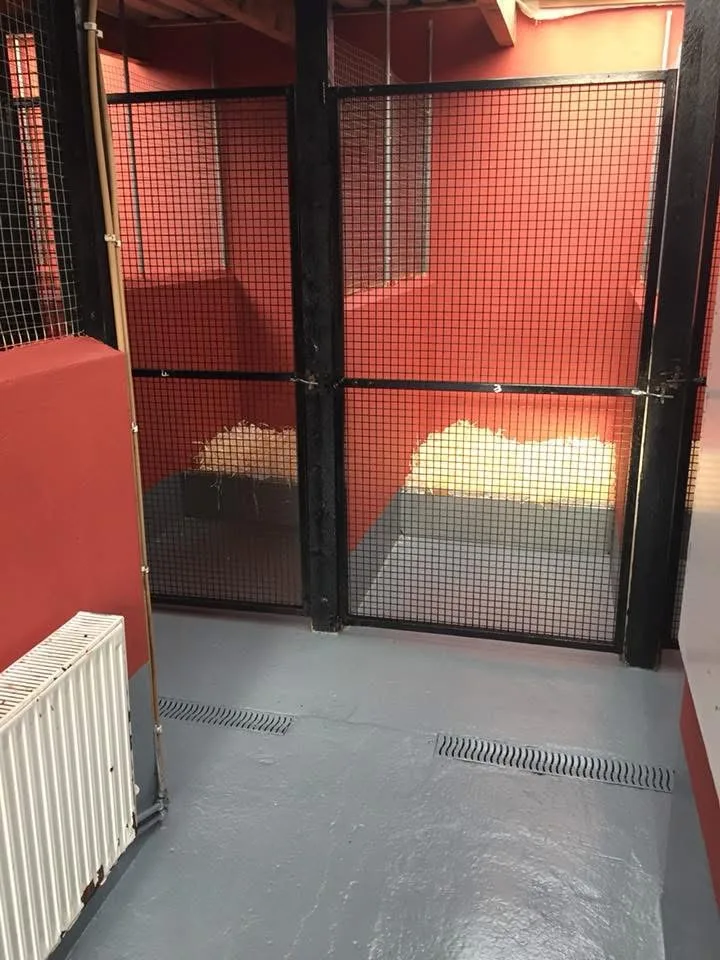 Ellas Boarding Kennels, Cattery & Dog Grooming - Tipperary pet otel