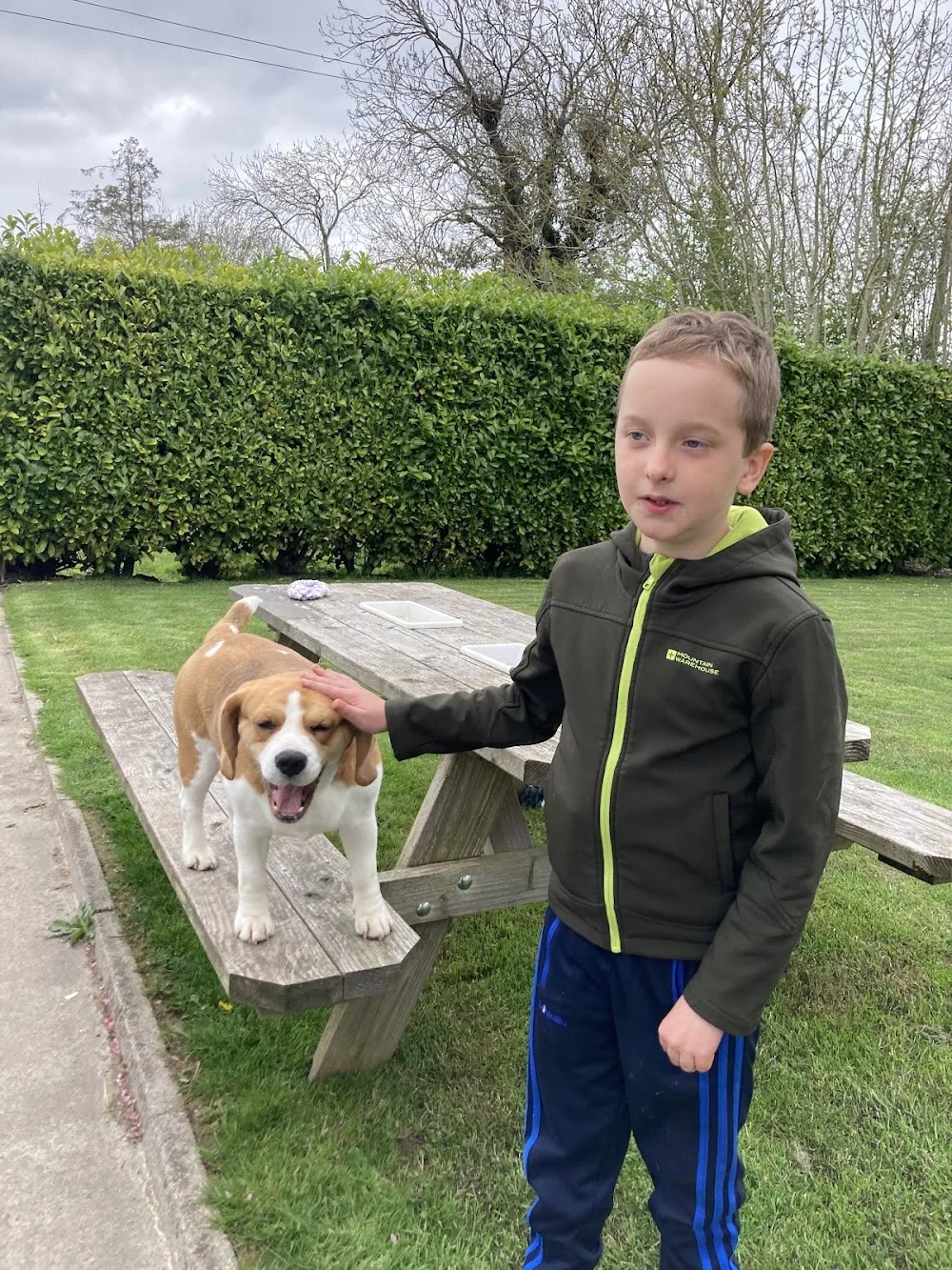 Ellas Boarding Kennels, Cattery & Dog Grooming - Tipperary pet otel görseli 3