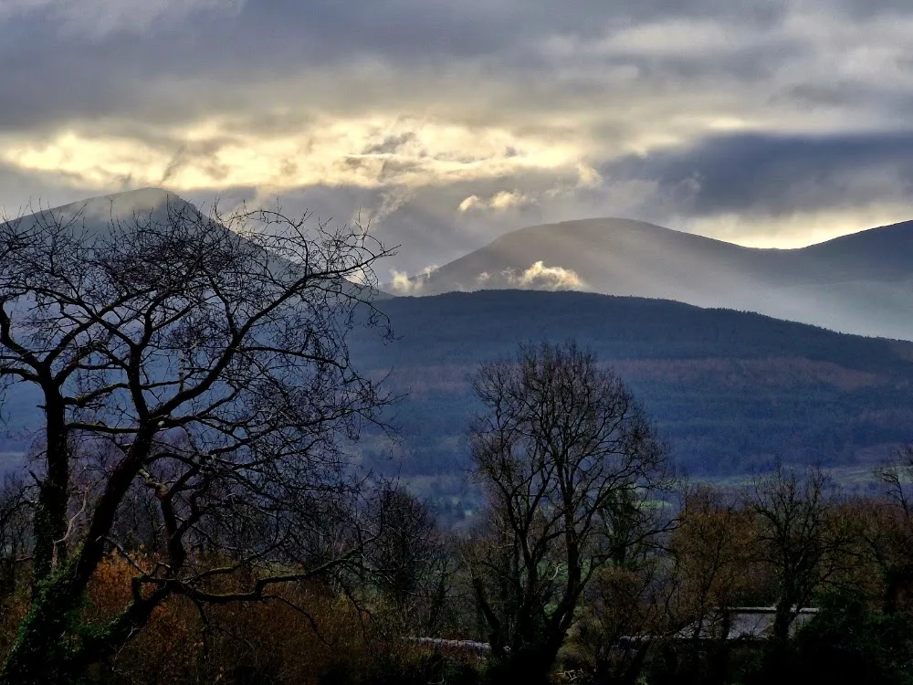Galtee View Boarding Kennels - Tipperary pet otel