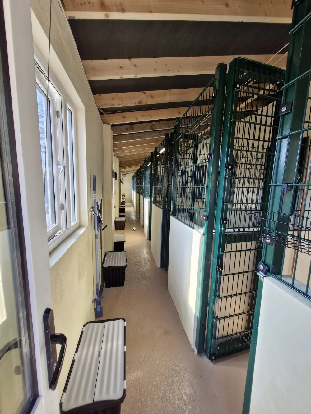 Galtee View Boarding Kennels - Tipperary pet otel görseli 3